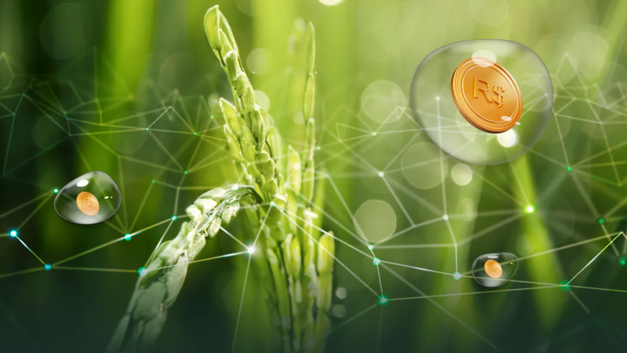 rentabilidade com marca própria